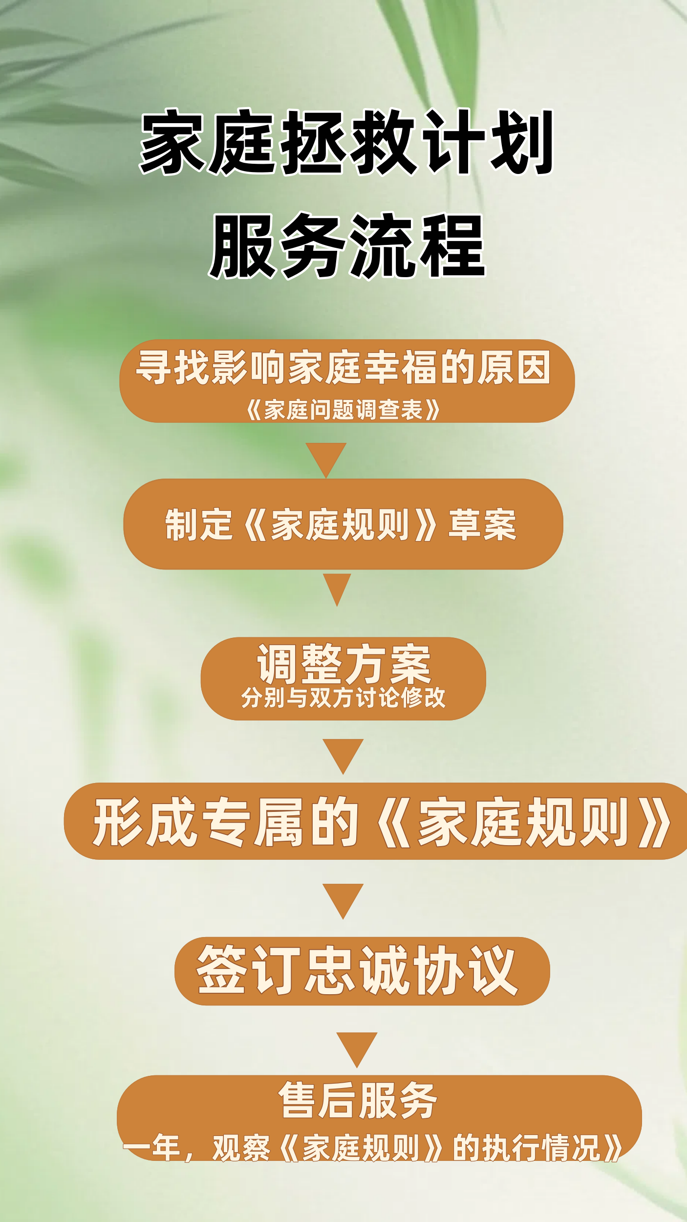 家庭挽救计划